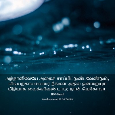 Picture 03 - லேவியராகமம் 22:30 TAMIRV - அந்நாளிலேயே அதைச் - Bible Verse Picture