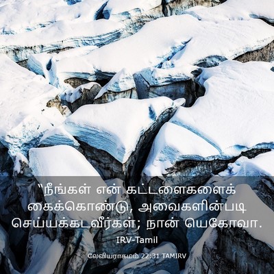 Picture 03 - லேவியராகமம் 22:31 TAMIRV - “நீங்கள் என் - Bible Verse Picture