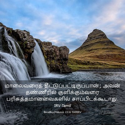Picture 03 - லேவியராகமம் 22:6 TAMIRV - மாலைவரைத் - Bible Verse Picture