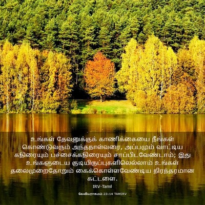 Picture 03 - லேவியராகமம் 23:14 TAMIRV - உங்கள் - Bible Verse Picture