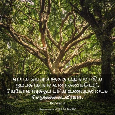 Picture 03 - லேவியராகமம் 23:16 TAMIRV - ஏழாம் - Bible Verse Picture
