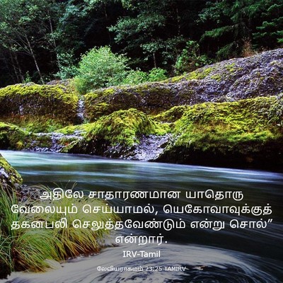 Picture 03 - லேவியராகமம் 23:25 TAMIRV - அதிலே சாதாரணமான - Bible Verse Picture