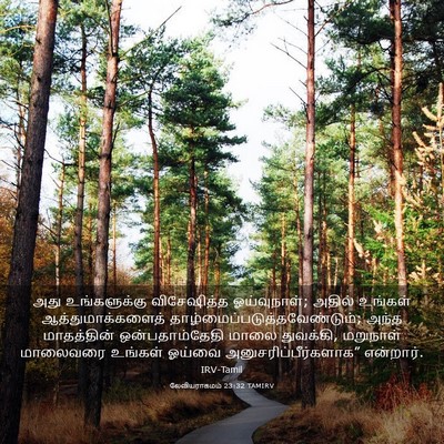 Picture 03 - லேவியராகமம் 23:32 TAMIRV - அது உங்களுக்கு - Bible Verse Picture