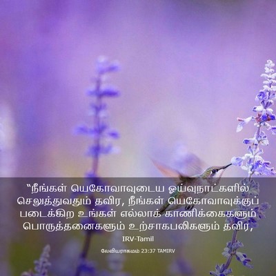 Picture 03 - லேவியராகமம் 23:37 TAMIRV - “நீங்கள் - Bible Verse Picture