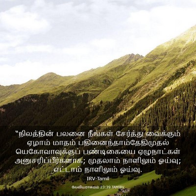 Picture 03 - லேவியராகமம் 23:39 TAMIRV - “நிலத்தின் பலனை - Bible Verse Picture