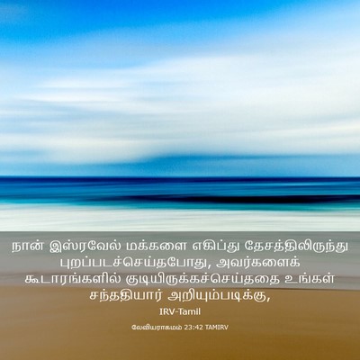 Picture 03 - லேவியராகமம் 23:42 TAMIRV - நான் இஸ்ரவேல் - Bible Verse Picture