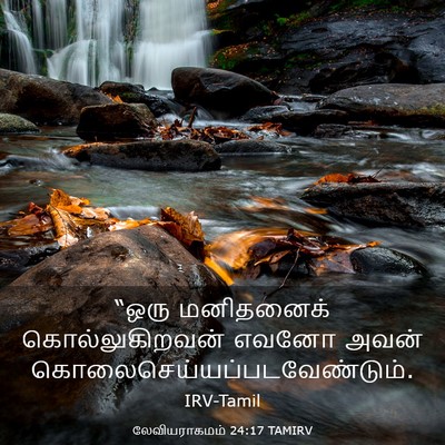 Picture 03 - லேவியராகமம் 24:17 TAMIRV - “ஒரு மனிதனைக் - Bible Verse Picture