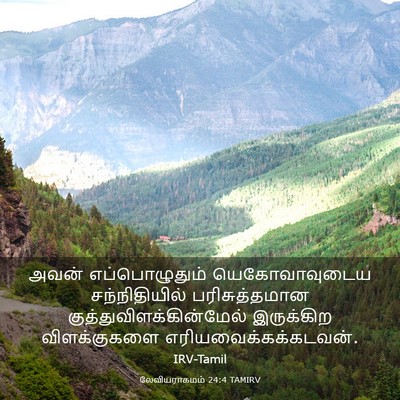 Picture 03 - லேவியராகமம் 24:4 TAMIRV - அவன் எப்பொழுதும் - Bible Verse Picture