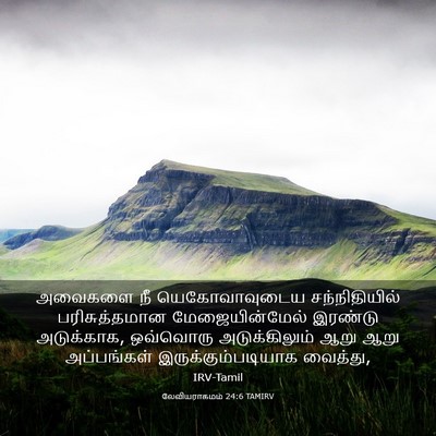 Picture 03 - லேவியராகமம் 24:6 TAMIRV - அவைகளை நீ - Bible Verse Picture
