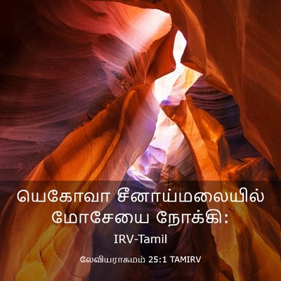 Picture 03 - லேவியராகமம் 25:1 TAMIRV - யெகோவா - Bible Verse Picture