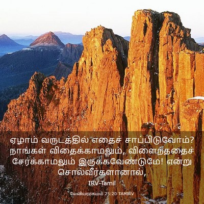 Picture 03 - லேவியராகமம் 25:20 TAMIRV - ஏழாம் வருடத்தில் - Bible Verse Picture