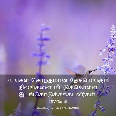 Picture 03 - லேவியராகமம் 25:24 TAMIRV - உங்கள் சொந்தமான - Bible Verse Picture
