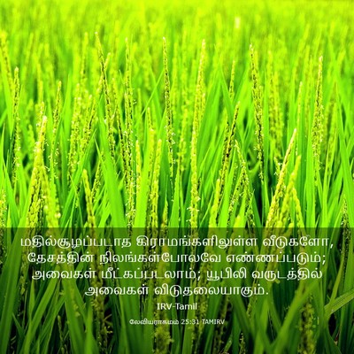 Picture 03 - லேவியராகமம் 25:31 TAMIRV - மதில்சூழப்படாத - Bible Verse Picture