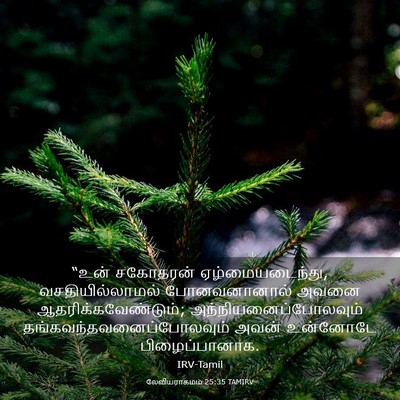 Picture 03 - லேவியராகமம் 25:35 TAMIRV - “உன் சகோதரன் - Bible Verse Picture