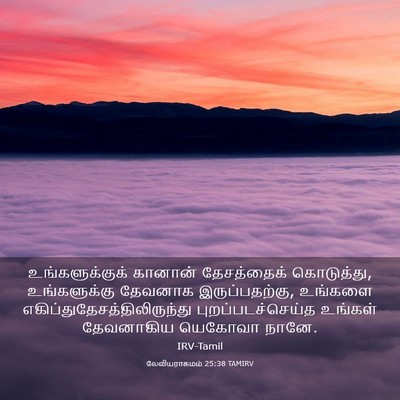 Picture 03 - லேவியராகமம் 25:38 TAMIRV - உங்களுக்குக் - Bible Verse Picture