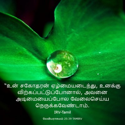 Picture 03 - லேவியராகமம் 25:39 TAMIRV - “உன் சகோதரன் - Bible Verse Picture