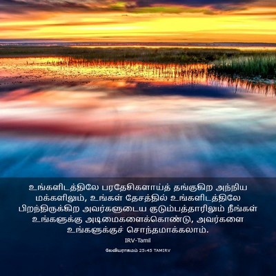 Picture 03 - லேவியராகமம் 25:45 TAMIRV - உங்களிடத்திலே - Bible Verse Picture