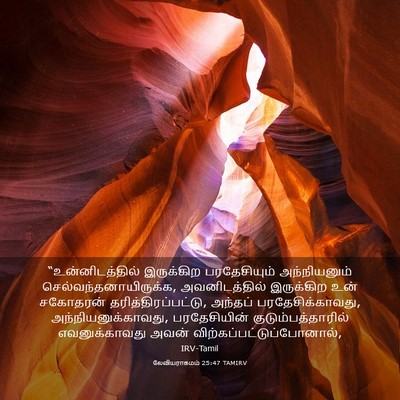 Picture 03 - லேவியராகமம் 25:47 TAMIRV - “உன்னிடத்தில் - Bible Verse Picture