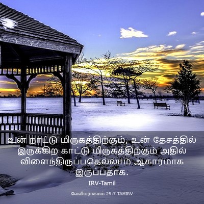 Picture 03 - லேவியராகமம் 25:7 TAMIRV - உன் நாட்டு - Bible Verse Picture