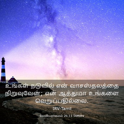 Picture 03 - லேவியராகமம் 26:11 TAMIRV - உங்கள் நடுவில் - Bible Verse Picture