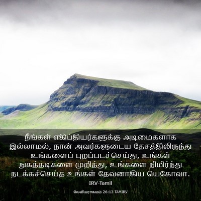 Picture 03 - லேவியராகமம் 26:13 TAMIRV - நீங்கள் - Bible Verse Picture