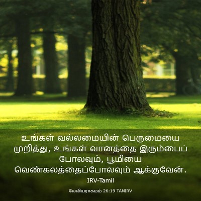 Picture 03 - லேவியராகமம் 26:19 TAMIRV - உங்கள் வல்லமையின் - Bible Verse Picture