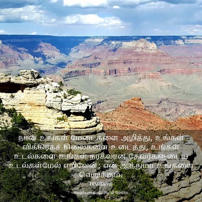 Picture 03 - லேவியராகமம் 26:30 TAMIRV - நான் உங்கள் - Bible Verse Picture