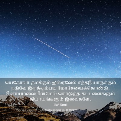 Picture 03 - லேவியராகமம் 26:46 TAMIRV - யெகோவா தமக்கும் - Bible Verse Picture