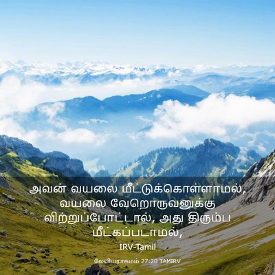 Picture 03 - லேவியராகமம் 27:20 TAMIRV - அவன் வயலை - Bible Verse Picture