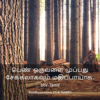 Picture 03 - லேவியராகமம் 27:4 TAMIRV - பெண் ஒருவளை - Bible Verse Picture