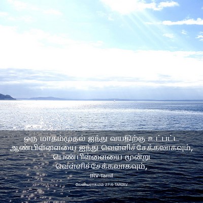 Picture 03 - லேவியராகமம் 27:6 TAMIRV - ஒரு மாதம்முதல் - Bible Verse Picture