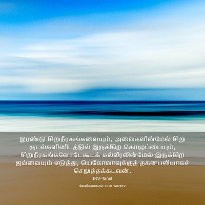 Picture 03 - லேவியராகமம் 3:10 TAMIRV - இரண்டு - Bible Verse Picture