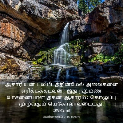 Picture 03 - லேவியராகமம் 3:16 TAMIRV - ஆசாரியன் - Bible Verse Picture
