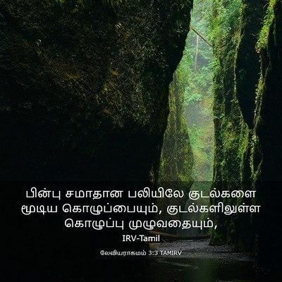 Picture 03 - லேவியராகமம் 3:3 TAMIRV - பின்பு சமாதான - Bible Verse Picture