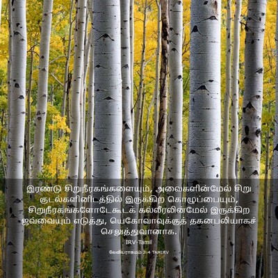 Picture 03 - லேவியராகமம் 3:4 TAMIRV - இரண்டு - Bible Verse Picture