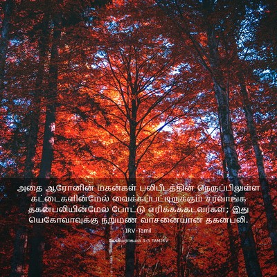 Picture 03 - லேவியராகமம் 3:5 TAMIRV - அதை ஆரோனின் - Bible Verse Picture
