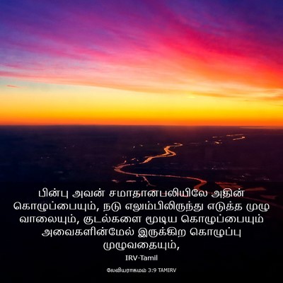 Picture 03 - லேவியராகமம் 3:9 TAMIRV - பின்பு அவன் - Bible Verse Picture