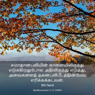 Picture 03 - லேவியராகமம் 4:10 TAMIRV - சமாதானபலியின் - Bible Verse Picture