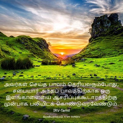 Picture 03 - லேவியராகமம் 4:14 TAMIRV - அவர்கள் செய்த - Bible Verse Picture