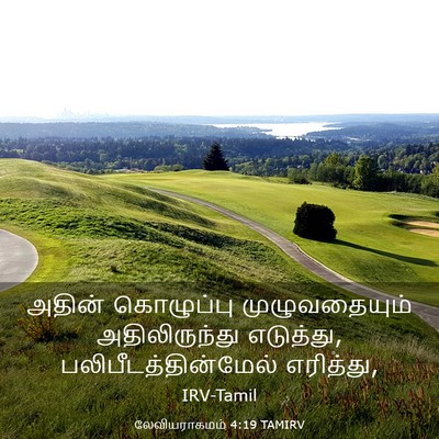 Picture 03 - லேவியராகமம் 4:19 TAMIRV - அதின் கொழுப்பு - Bible Verse Picture