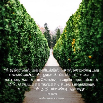 Picture 03 - லேவியராகமம் 4:2 TAMIRV - “நீ இஸ்ரவேல் - Bible Verse Picture