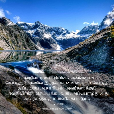 Picture 03 - லேவியராகமம் 4:20 TAMIRV - பாவநிவாரணபலியின் - Bible Verse Picture