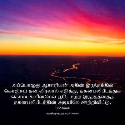 Picture 03 - லேவியராகமம் 4:25 TAMIRV - அப்பொழுது - Bible Verse Picture