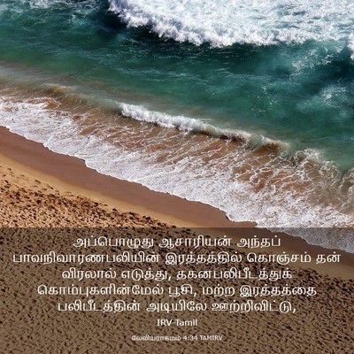 Picture 03 - லேவியராகமம் 4:34 TAMIRV - அப்பொழுது - Bible Verse Picture