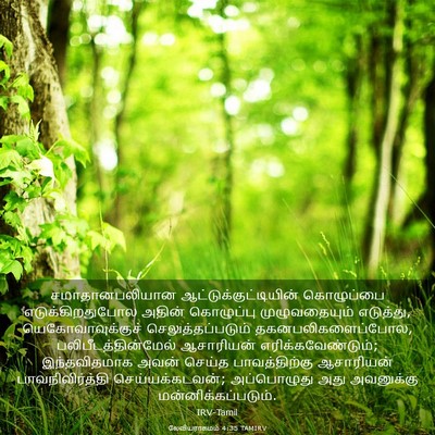 Picture 03 - லேவியராகமம் 4:35 TAMIRV - சமாதானபலியான - Bible Verse Picture