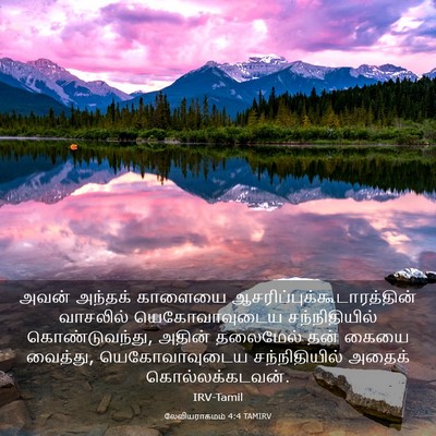 Picture 03 - லேவியராகமம் 4:4 TAMIRV - அவன் அந்தக் - Bible Verse Picture
