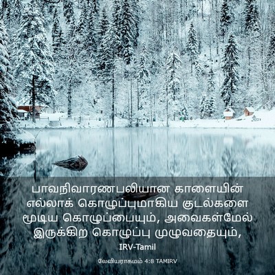 Picture 03 - லேவியராகமம் 4:8 TAMIRV - பாவநிவாரணபலியான - Bible Verse Picture