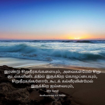 Picture 03 - லேவியராகமம் 4:9 TAMIRV - இரண்டு - Bible Verse Picture