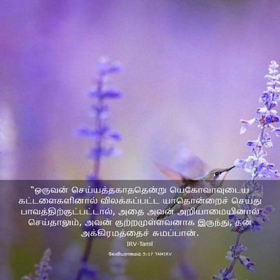 Picture 03 - லேவியராகமம் 5:17 TAMIRV - “ஒருவன் - Bible Verse Picture