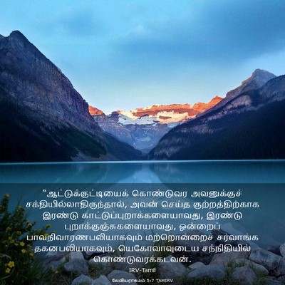 Picture 03 - லேவியராகமம் 5:7 TAMIRV -  - Bible Verse Picture